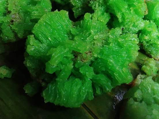 Kedai Kue Nilasari - Gastronomi dan perhotelan