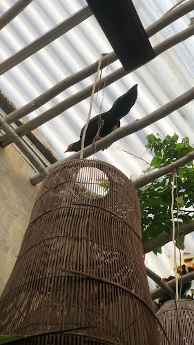 22|PM ARTLAB - Surabaya