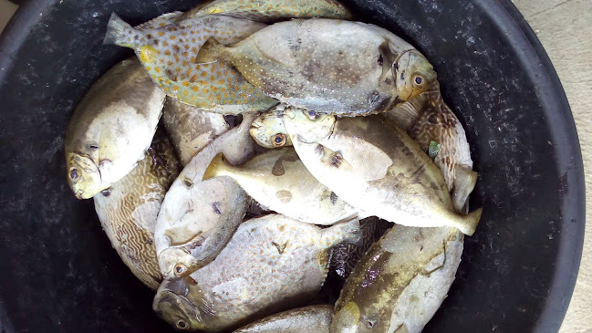 Warung ikan bakar bu putu 2
