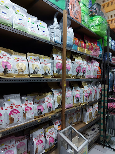 DEPOT Hijau Pandan - Kota Banjar Baru