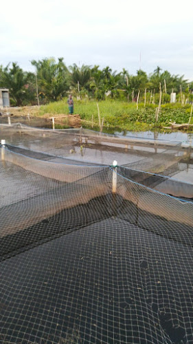 KERAMBA PAK WILLY - Gastronomi dan perhotelan