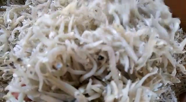 Fresh Market Emerald Bintaro Blok PE / KA-01, Jl. Emerald Boulevard, Parigi, Kec. Pd. Aren, Kota Tangerang Selatan, Banten 15227