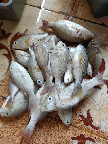 Opinii despre Lelong makassar online în Kota Makassar - Gastronomi dan perhotelan