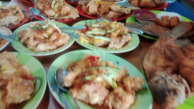 Comentarii opinii despre Subur Group