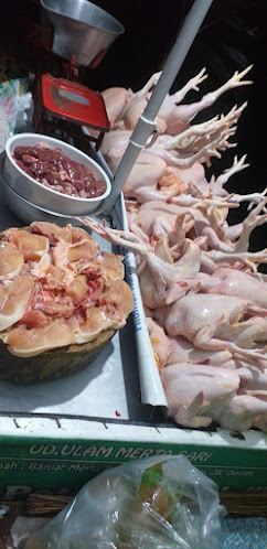 JUAL AYAM MERAH DENPASAR - Kota Denpasar