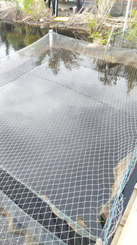 KERAMBA PAK WILLY - Kota Dumai