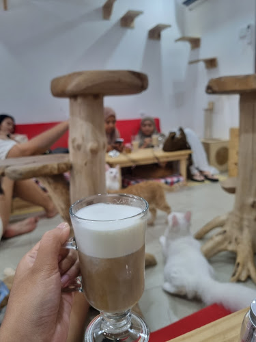 Cat cafe RUMAH KUCING FREYA