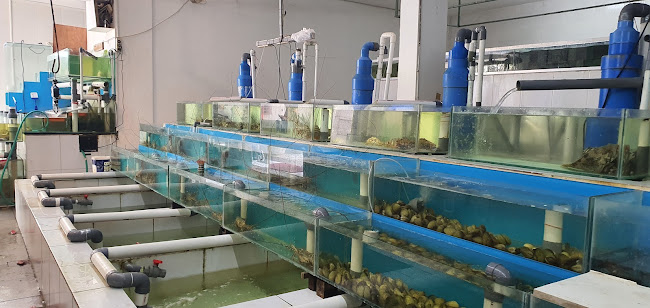 SANG SEAFOOD (SURABAYA BARAT) - Surabaya