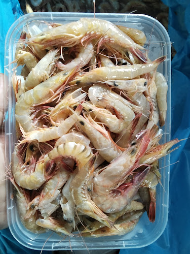 Kafekofi - Kota Bandar Lampung