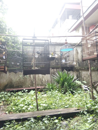 kedai coffee 21 - Kota Pontianak