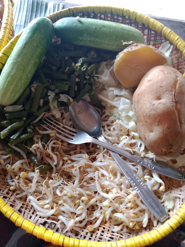 Comentarii opinii despre Sate Condong Karangsambung