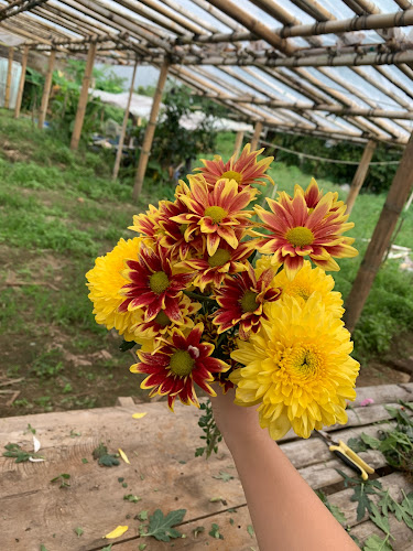 Greenhouse om Marten Manua
