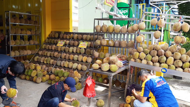 Durian Acin Bandung