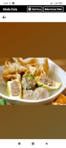 Comentarii opinii despre Batagor & Baso Temon