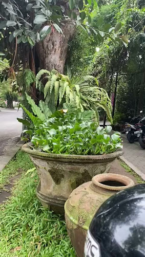 Comentarii opinii despre Toko You