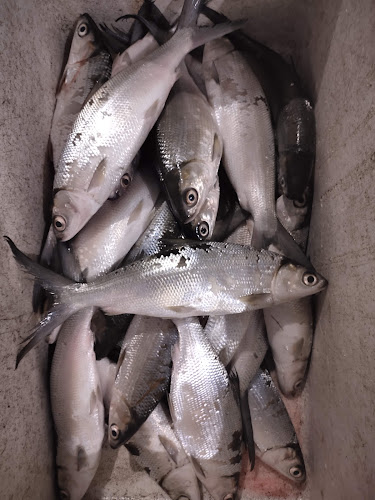 Jl. Perintis Kemerdekaan 1 No.12, Tamalanrea Indah, Kec. Tamalanrea, Kota Makassar, Sulawesi Selatan 90245