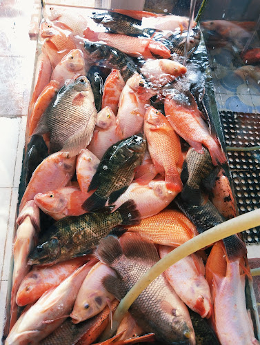 Ikan Bakar Labuan Bajo - Gastronomi dan perhotelan