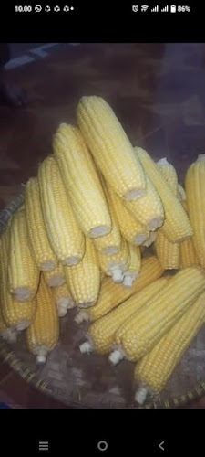 Comentarii opinii despre Es jagung zizi