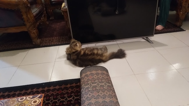 Rumah Makan Belibis - Gastronomi dan perhotelan