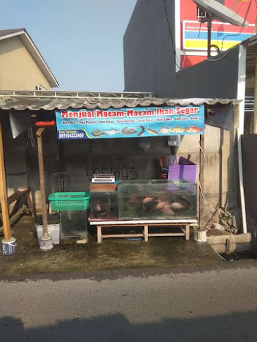 Jual macam-macam ikan segar