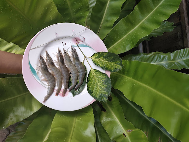 Empang Suppa (Udang dan Ikan Segar)