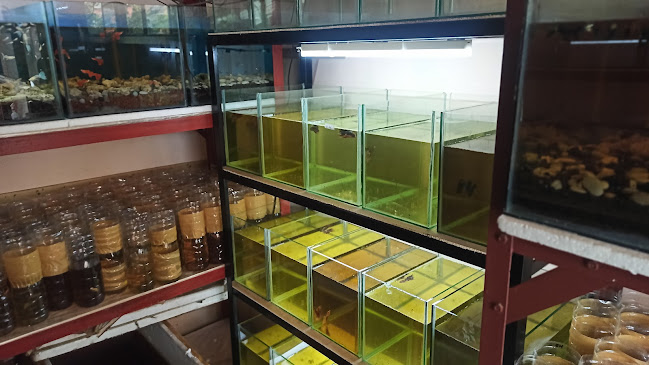 Golden Fish Farm - Gastronomi dan perhotelan