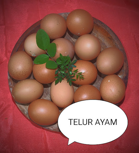 AYAM SEGAR MALANG