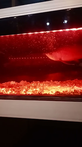 Kopi MAMA - Kota Medan