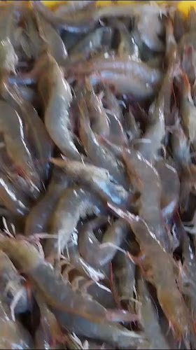 Opinii despre Toko Udang Pekanbaru în Kota Pekanbaru - Gastronomi dan perhotelan