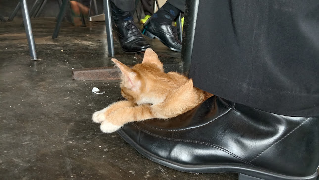 42R8+R6G, Jl. Imam Bonjol, Lubuk Baja Kota, Kec. Lubuk Baja, Kota Batam, Kepulauan Riau 29444