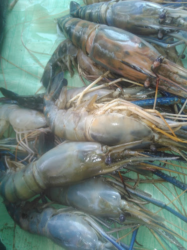 Pasar Induk Warung Jambu - Kota Bogor