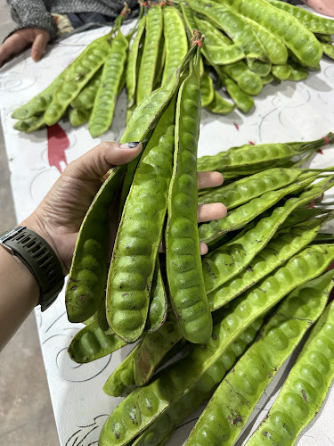 Jl. Otto Iskandar Dinata No.58, Sulanjana, Kec. Jambi Tim., Kota Jambi, Jambi 36123