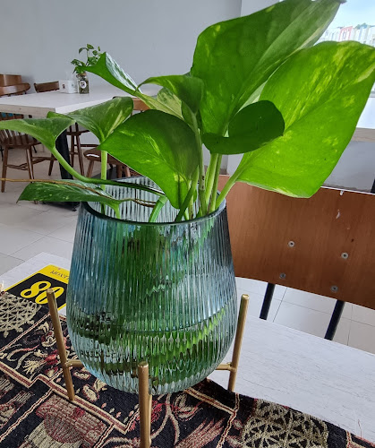 Comentarii opinii despre Alexopi