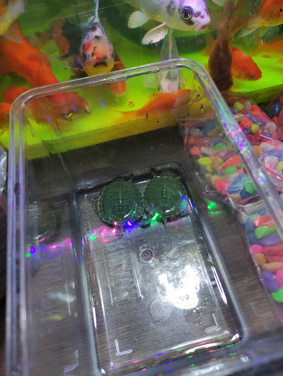 Pasar Malam Samarinda Seberang