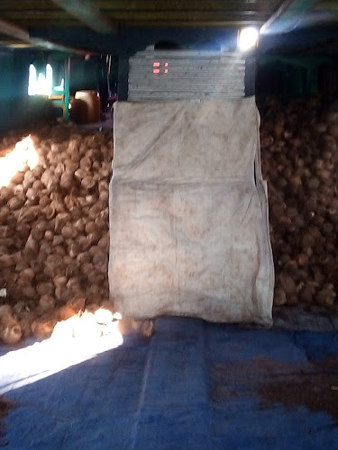 Opinii despre RM Bunda în Kota Palembang - Gastronomi dan perhotelan