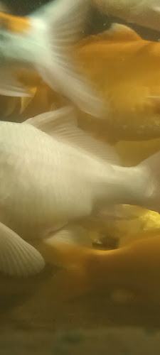 Warung Kopi Ngangeni - Kota Madiun