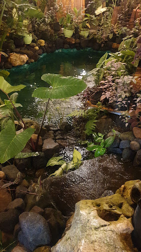 Comentarii opinii despre Garita Garden Cafe