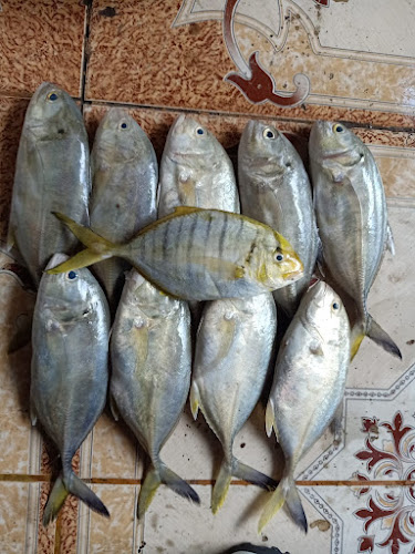 Lelong makassar online - Kota Makassar