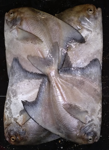 IKAN SEGAR 888 BATAM - Gastronomi dan perhotelan