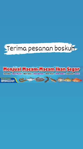 Opinii despre Jual macam-macam ikan segar în Kota Tangerang - Gastronomi dan perhotelan