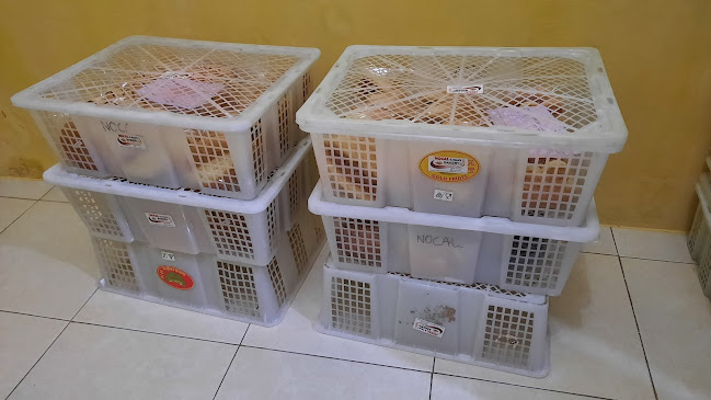 Suka Maju, Kec. Medan Johor, Kota Medan, Sumatera Utara