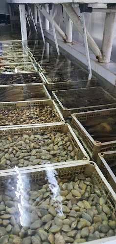 Comentarii opinii despre SANG SEAFOOD (SURABAYA BARAT)