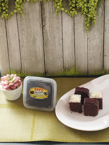 Comentarii opinii despre ERFO Brownies