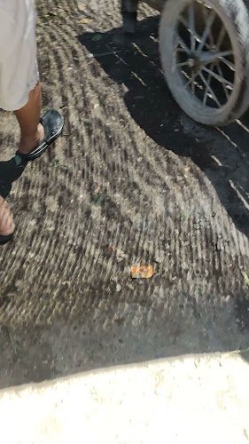 Comentarii opinii despre Pasar Oeba