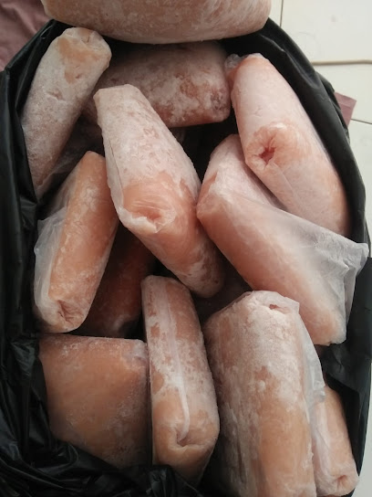 Agen Ikan Gabus Paris Fish's