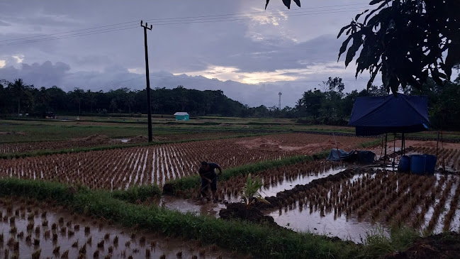 Toko Kue Hegarsari - Kab. Tasikmalaya