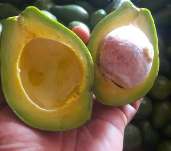 Opinii despre ALPUKAT DURIAN KOCOK în Kota Depok - Gastronomi dan perhotelan