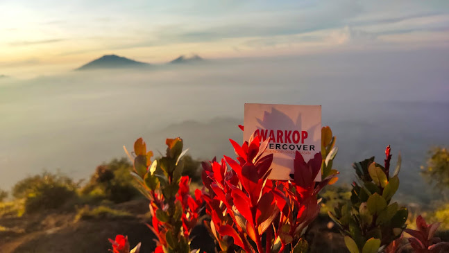 Comentarii opinii despre WARKOP UNDERCOVER