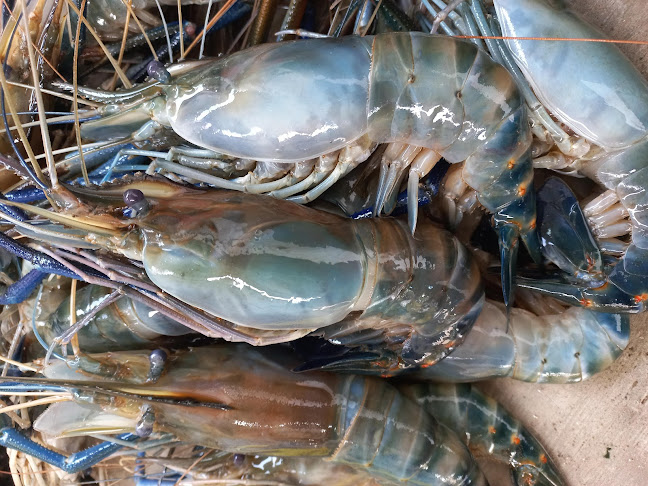 Jl. Yos Sudarso No.40, Menteng, Kec. Jekan Raya, Kota Palangka Raya, Kalimantan Tengah 73112