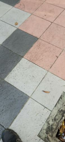 PUKIS DAN MARTABAK KOTABARU (Magelang)